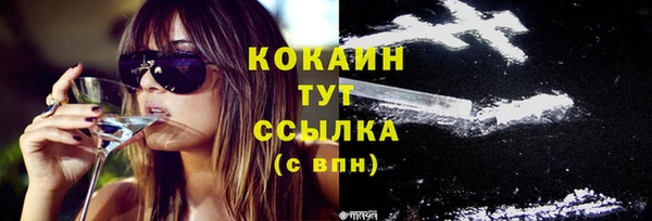 дурь Лабытнанги