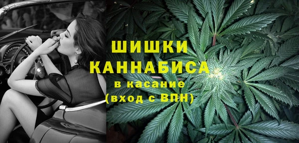 дурь Лабытнанги