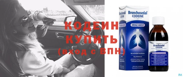 дурь Лабытнанги