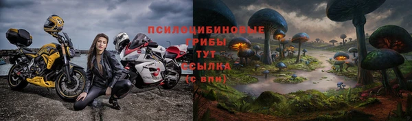 дурь Лабытнанги